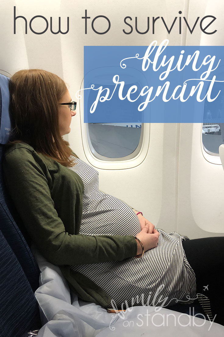 Tips for Flying While Pregnant (and Why It’s Not So Bad!) | Family on ...