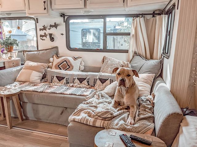 Dog lays on cozy blankets in renovated 5th wheel