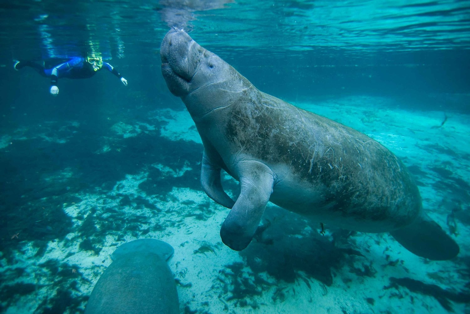 10 Vacations For Animal Lovers In The U S Family On Standby