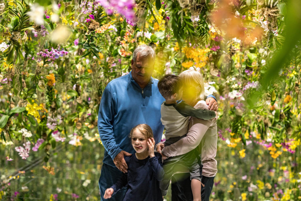 Grandparents and kids at teamLab Planets in Tokyo Japan